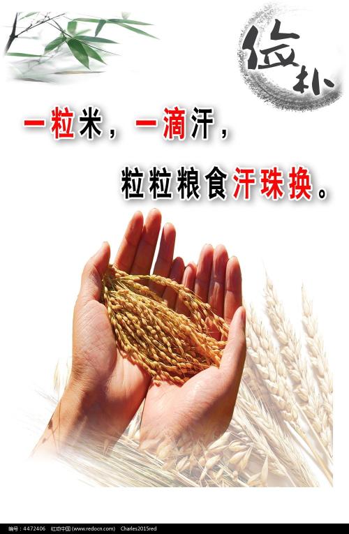 哪里可以办华盛顿特区ID